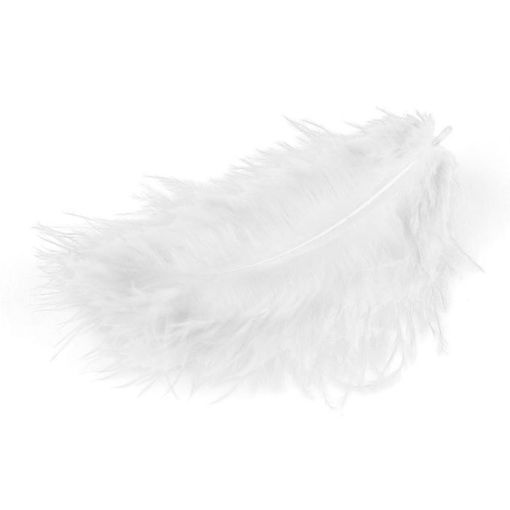 Πούπουλα λευκά Describo 9-12cm – Συσκευασία 15 τεμαχίων για χειροτεχνίες & διακόσμηση – Κωδικός DES-0028 – EAN 5205726002689