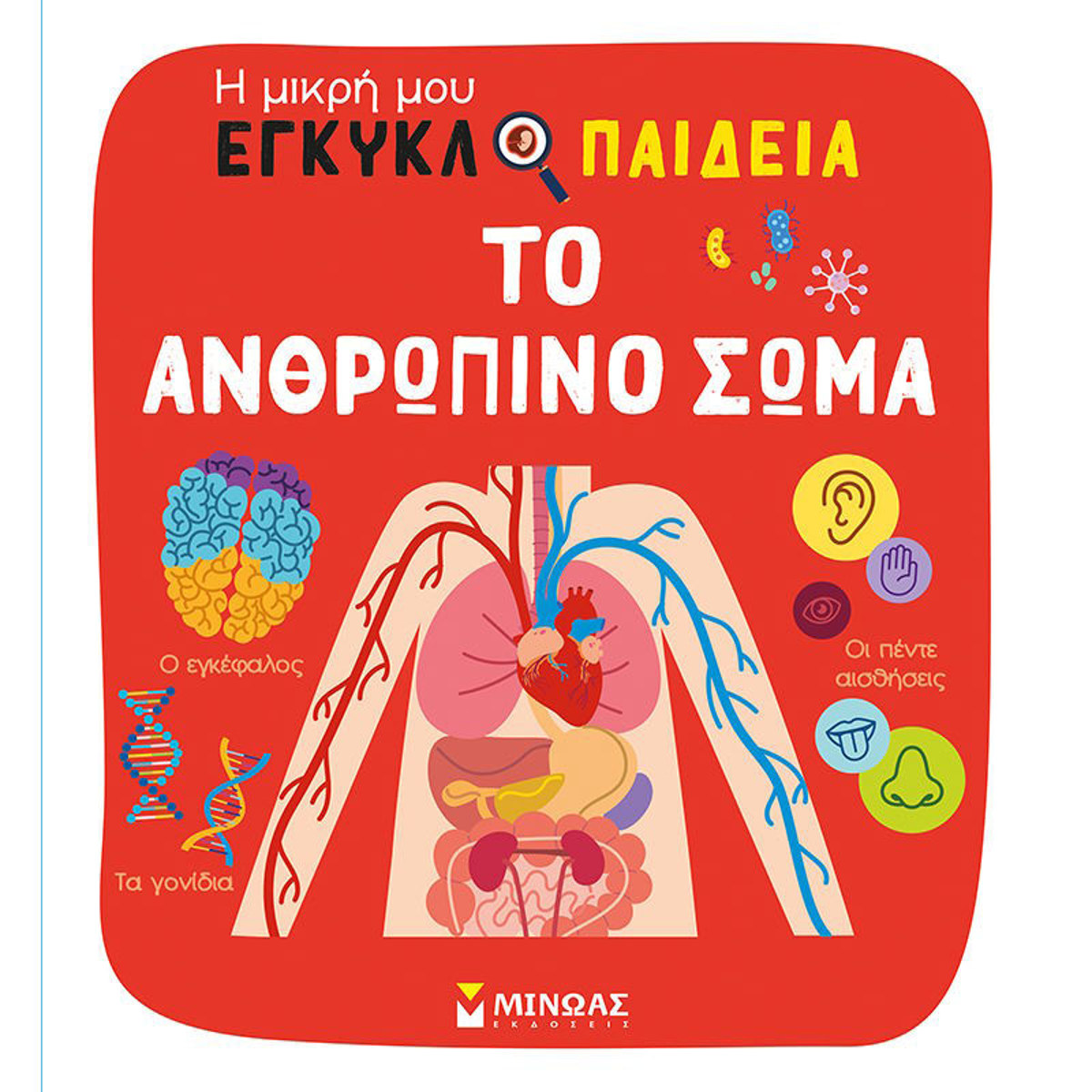 Εικόνα της Το ανθρώπινο σώμα - Η μικρή μου εγκυκλοπαίδεια