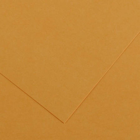 Εικόνα της Χαρτόνι Canson Colorline 32 leather 32 50x70cm 220gr.