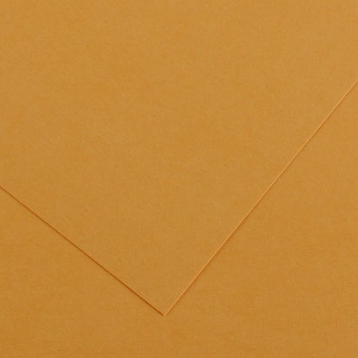 Εικόνα της Χαρτόνι Canson Colorline 32 leather 32 50x70cm 220gr.