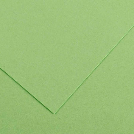 Εικόνα της Χαρτόνι Canson Colorline 27 green apple 50x70cm 220gr.
