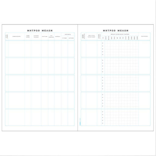 Εικόνα της Βίβλιο μητρώο μελών 25x35cm 100φυλ. 544α Τυποτράστ