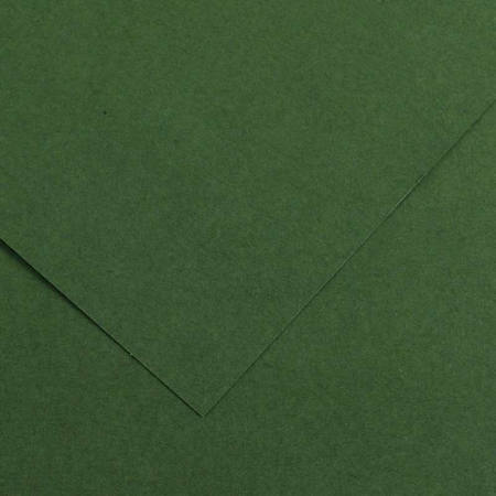 Εικόνα της Χαρτόνι Canson Colorline 31 green fir tree 50x70cm 220gr.