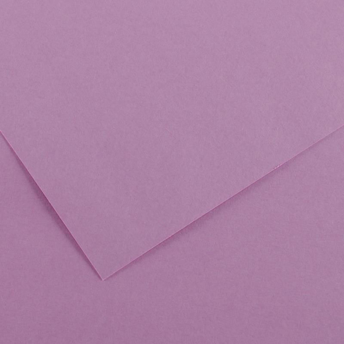 Εικόνα της Χαρτόνι Canson Colorline 17 lilac 50x70cm 220gr.