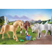 Εικόνα της Playmobil Horses of Waterfall Τρία άλογα με αξεσουάρ 71356
