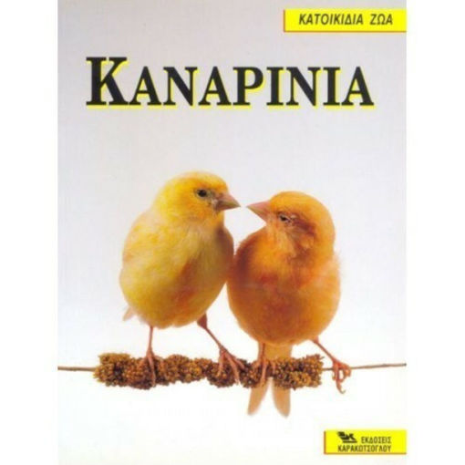 Εικόνα της Καναρίνια