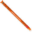 Εικόνα της Στυλό Legami erasable pen tiger orange 0.7mm