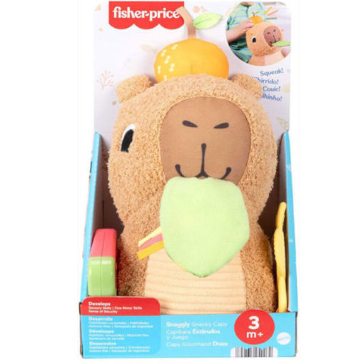 Εικόνα της Μαλακο Καπιμπαρα Mattel Fisher-Price Δραστηριοτητων HYR54