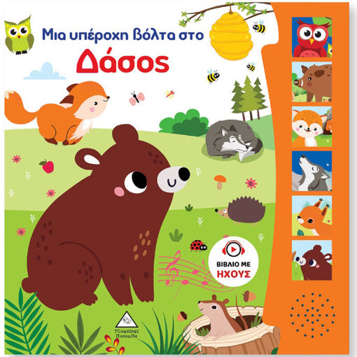 Εικόνα της Βιβλίο Ήχου – Μια υπέροχη βόλτα στο Δάσος