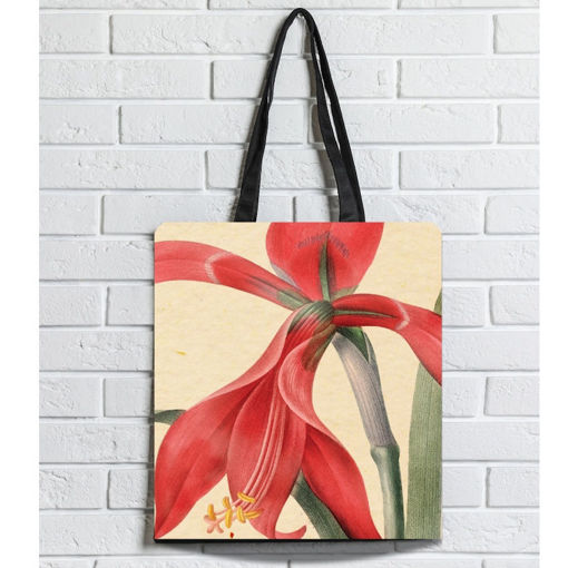 Εικόνα της Τσάντα Υφασμάτινη Brainfood σουέτ με φερμουάρ Λίλιουμ (BR)