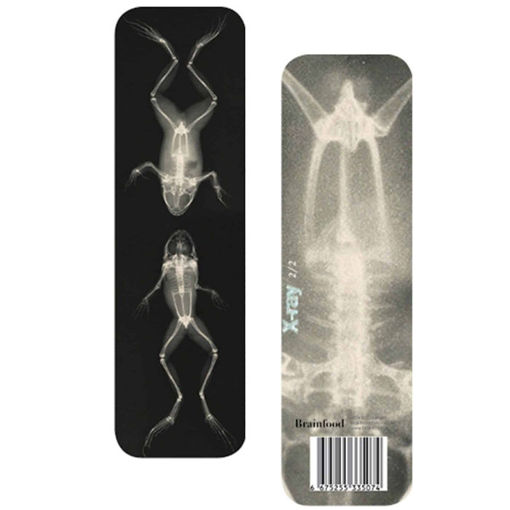 Εικόνα της Σελιδοδείκτης – XRAY Γυρίνοι (BR)