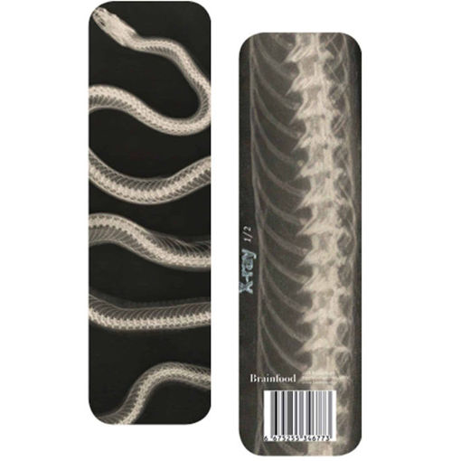 Εικόνα της Σελιδοδείκτης – XRAY Φίδι (BR)