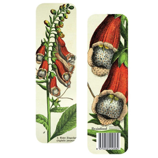 Εικόνα της Σελιδοδείκτης – Λουλούδια vintage 2 (BR)