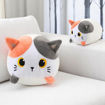 Εικόνα της Μαξιλάρι i-Total Small Orange Cat 20x12cm. XL2203B