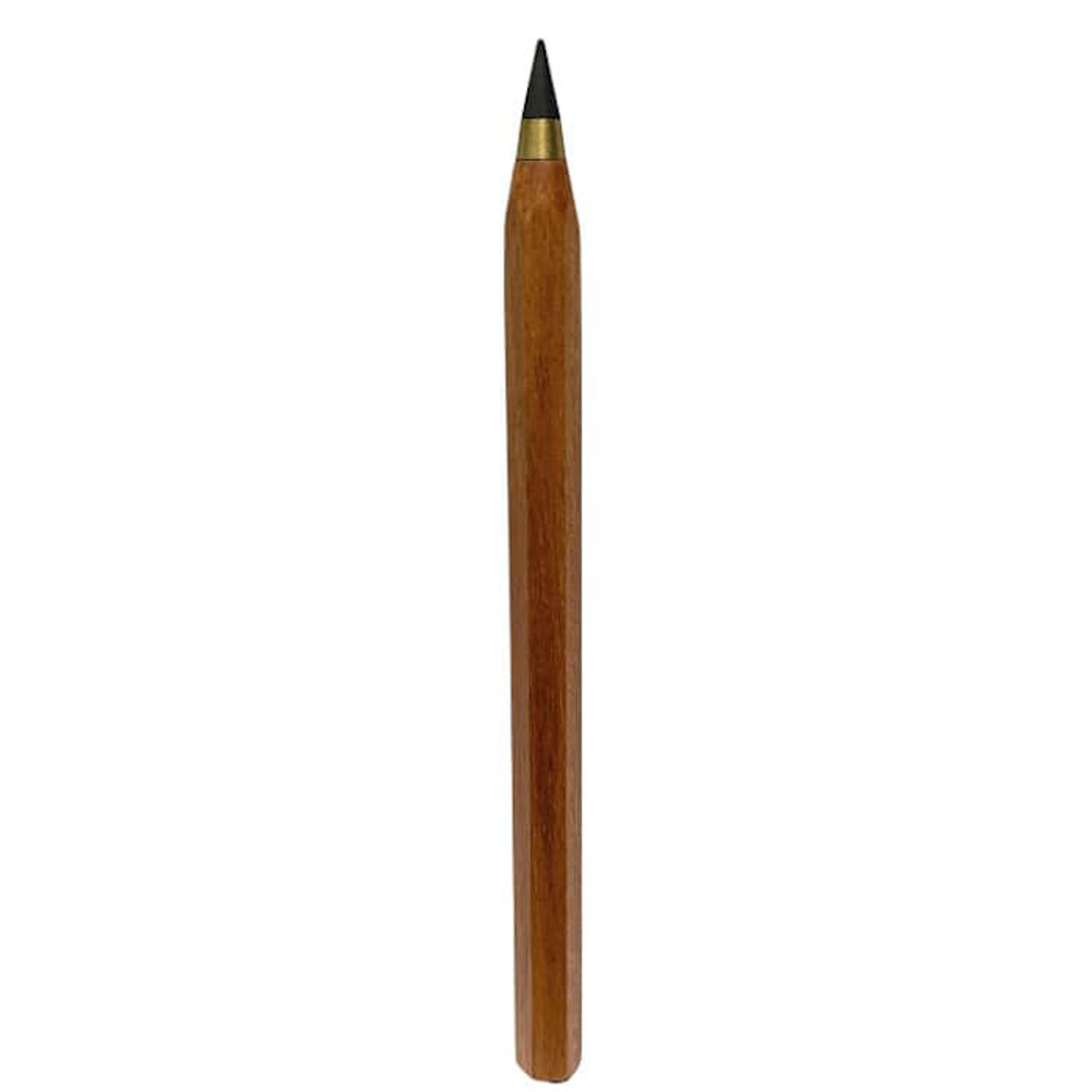 Εικόνα της Retractable infinite pencil Cactus ξύλινο