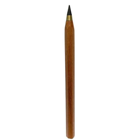 Εικόνα της Retractable infinite pencil Cactus ξύλινο