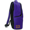 Εικόνα της Τσάντα σακίδιο NBA James Back Me Up 378-08032