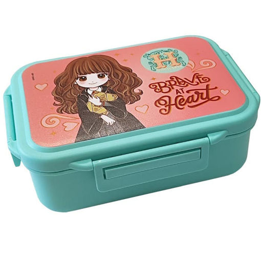 Εικόνα της Φαγητοδοχείο Graffiti Stainless Steel 0.88lt Hermione 254422