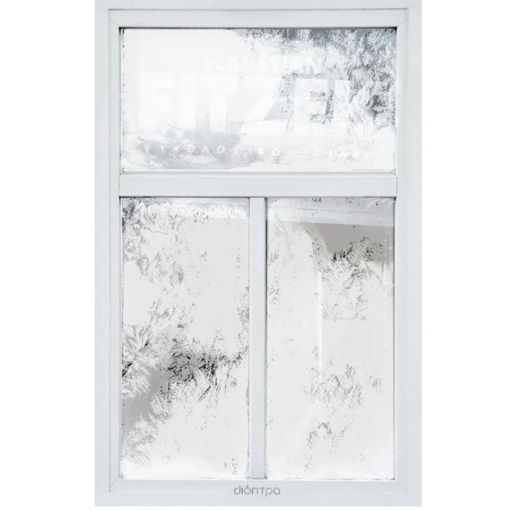 Εικόνα της Το κορίτσι του ημερολογίου