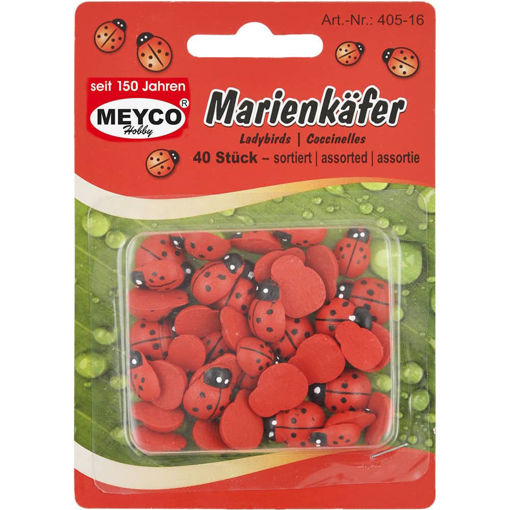 Εικόνα της Ξύλινες Πασχαλίτσες Meyco Διακόσμησης 40τεμ.  405-16