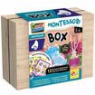 Εικόνα της Montessori box Smell Lisciani 105458