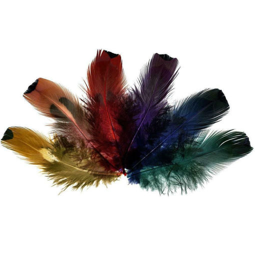 Εικόνα της Πούπουλα Meyco παγονιού 24τεμ. 10-12cm 24080