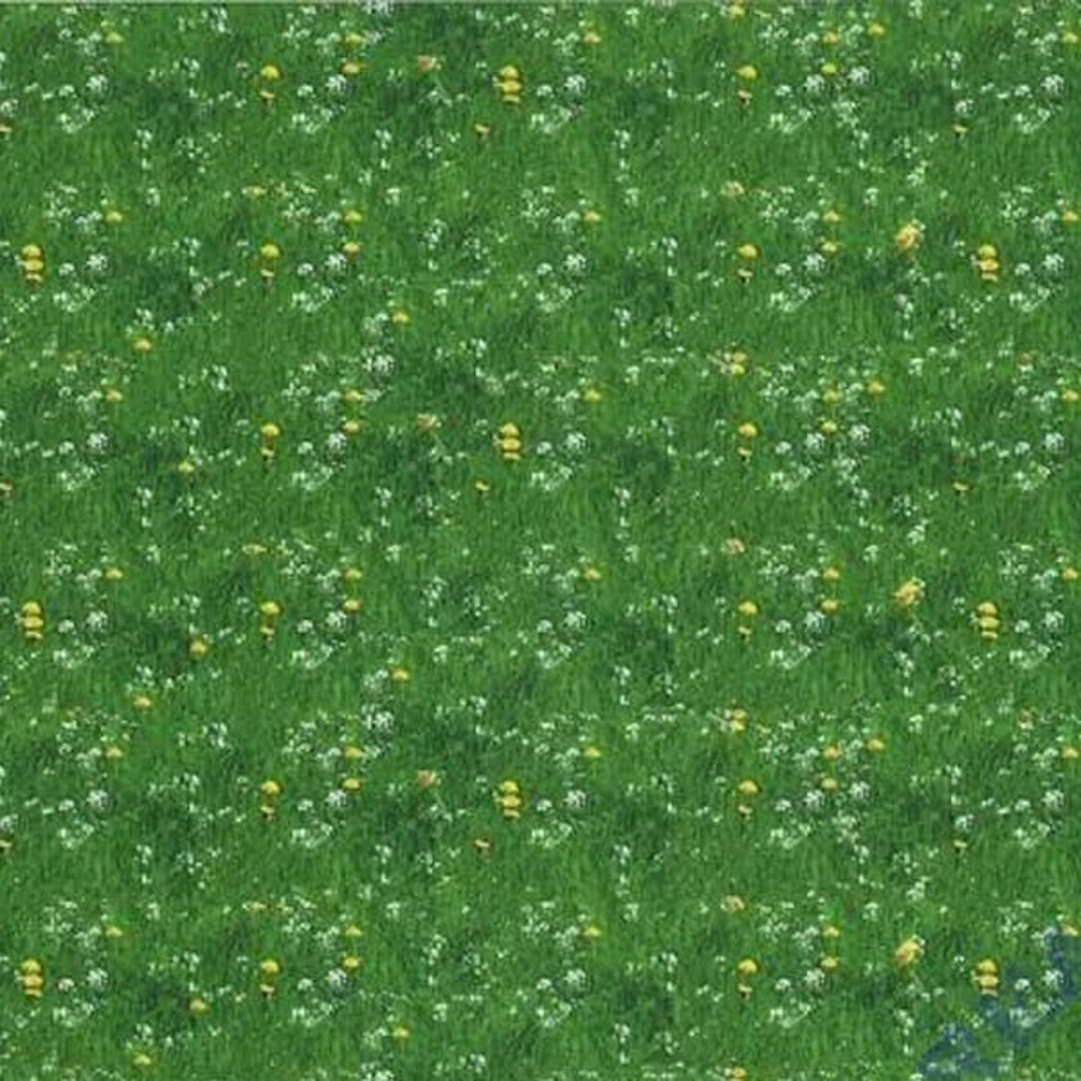 Εικόνα της Χαρτόνι Ursus Wiese 49.5x68 300gr.