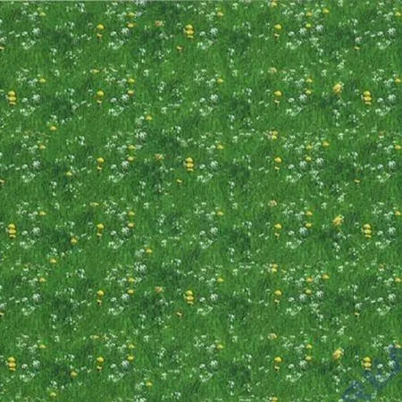 Εικόνα της Χαρτόνι Ursus Wiese 49.5x68 300gr.