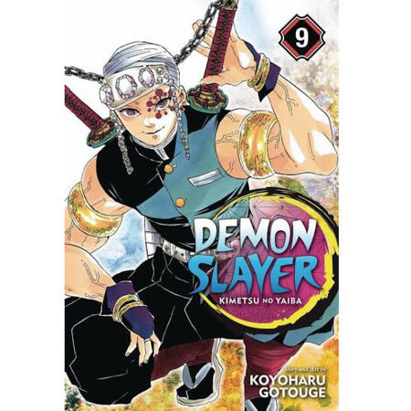 Εικόνα της Demon Slayer: Kimetsu no Yaiba Vol. 9