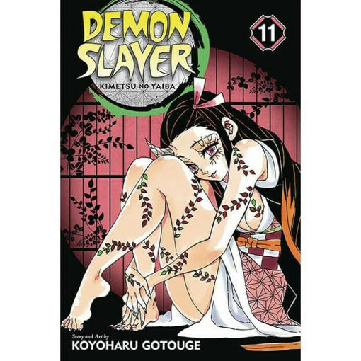 Εικόνα της Demon Slayer: Kimetsu no Yaiba, Vol. 11