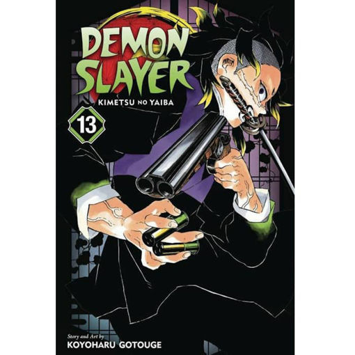 Εικόνα της Demon Slayer: Kimetsu no Yaiba, Vol. 13