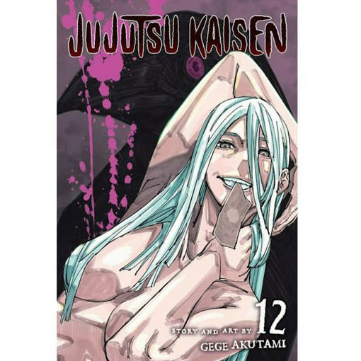 Εικόνα της Jujutsu Kaisen Vol. 12