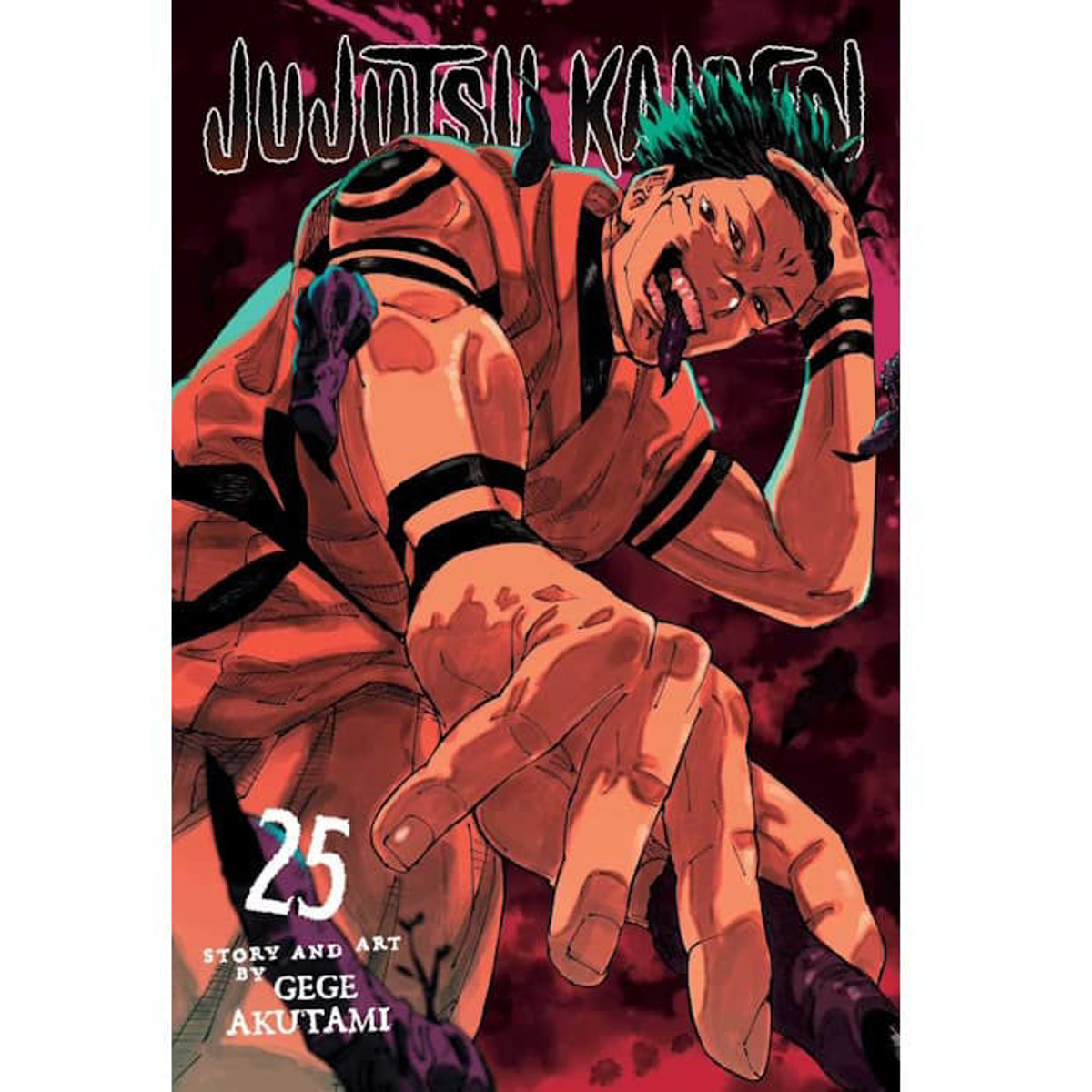 Εικόνα της Jujutsu Kaisen Vol. 25