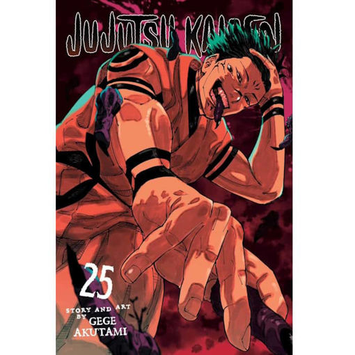 Εικόνα της Jujutsu Kaisen Vol. 25