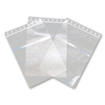 Εικόνα της Σακουλάκια ασφαλείας Zip 100τεμ 160x220mm Describo