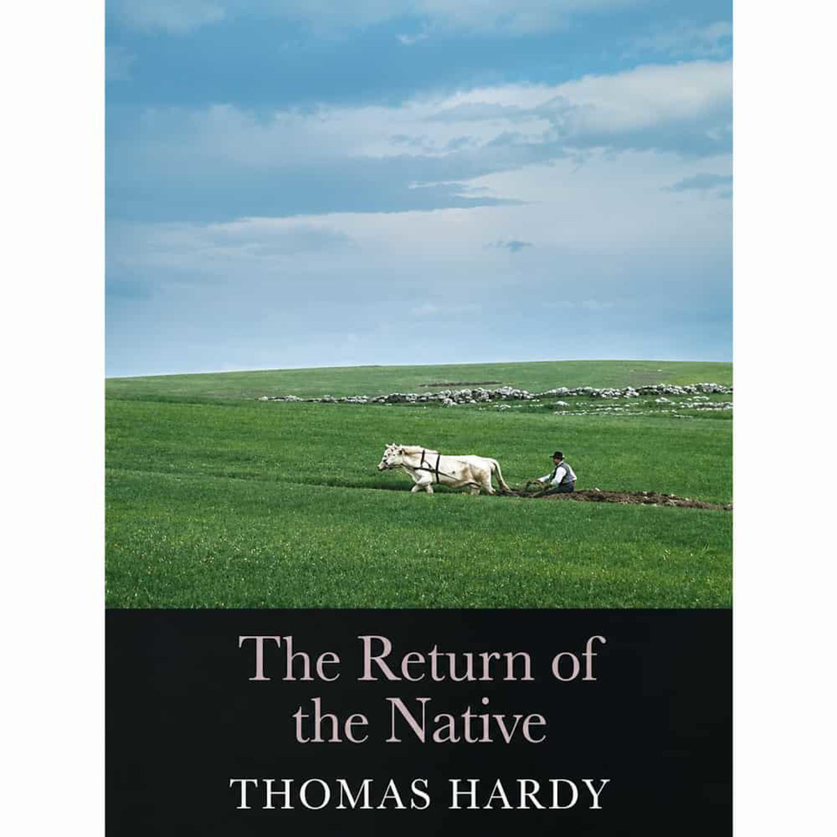 Εικόνα της The Novels of Thomas Hardy: The Return of the Native