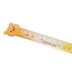Εικόνα της Χάρακας Legami Sweet Bear 15cm. RUCAT0003