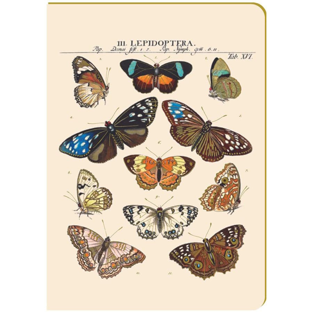 Εικόνα της Premium Paper Notebook Elegance Α5 ρηγέ Vintage Butterfly Sheet PI25233