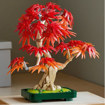 Εικόνα της Lego Botanical Collection Japanese Red Maple Bonsai Tree 10348